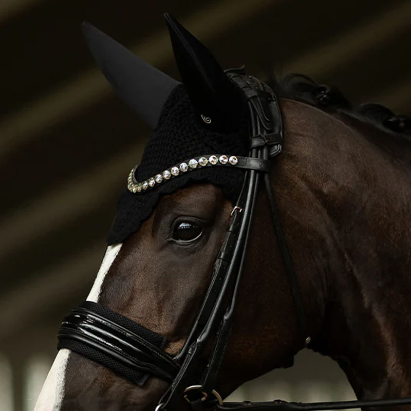 Oornetje ES Clean Soundless Black Edition