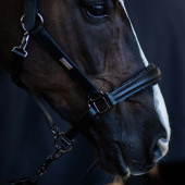 Anatomisch Lederen Halster ES Glimmer Black Edition Anatomisch Lederen Halster ES Glimmer Black Edition