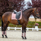 Beenbeschermers ES Mesh Pink Beenbeschermers ES Mesh Pink