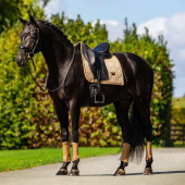 Dressuurzadeldekje ES Modern Midsummer Glow Dressuurzadeldekje ES Modern Midsummer Glow