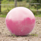Paardenvoetbal Roze Paardenvoetbal Roze