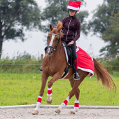 Helmovertrek Kerst Kerstmuts Rood/Wit Helmovertrek Kerst Kerstmuts Rood/Wit