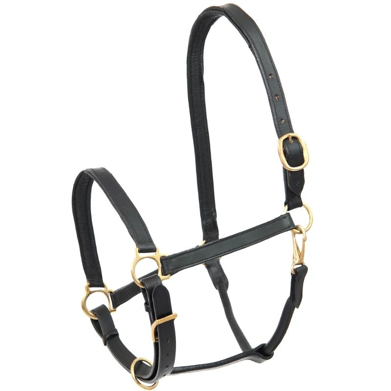Leren halster Robust Zwart