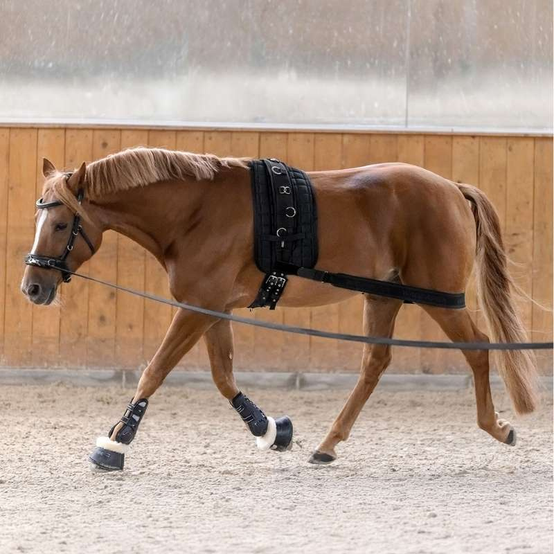 Body Bandage Elastic Zwart Cob/Full