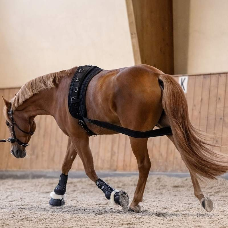 Body Bandage Elastic Zwart Cob/Full
