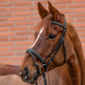 Hoofdstel Diamond Zwart Hoofdstel Diamond Zwart