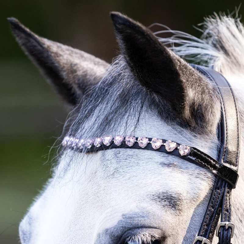Hoofdstel Happy Hearts Zwart