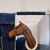 Boxbeschermer Head Protector Marineblauw Boxbeschermer Head Protector Marineblauw