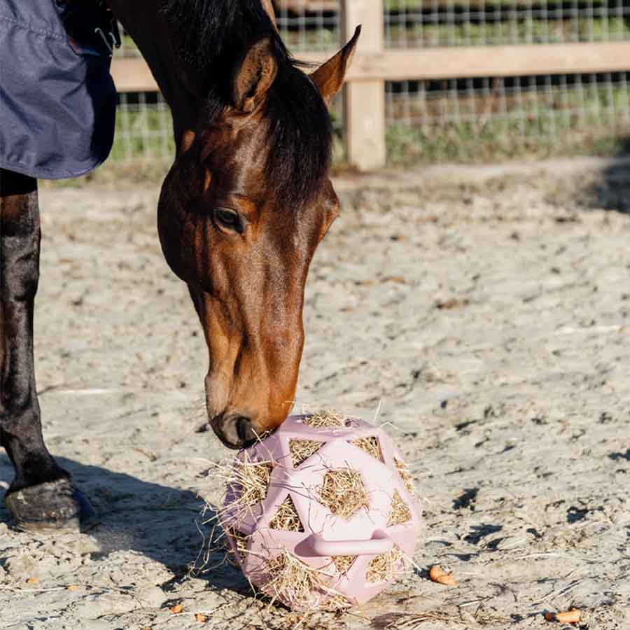 Hooibaal Relax Play & Hay Oudroze