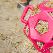 Hooibaal Relax Hay & Play Roze Hooibaal Relax Hay & Play Roze