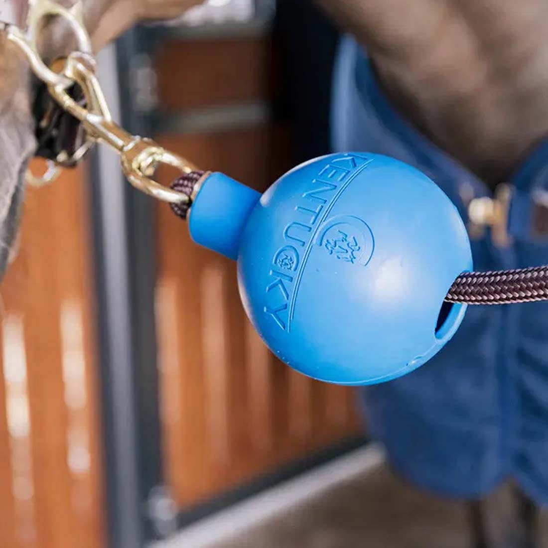 Beschermingsbal Lead & Wall Protection Rubber Blauw