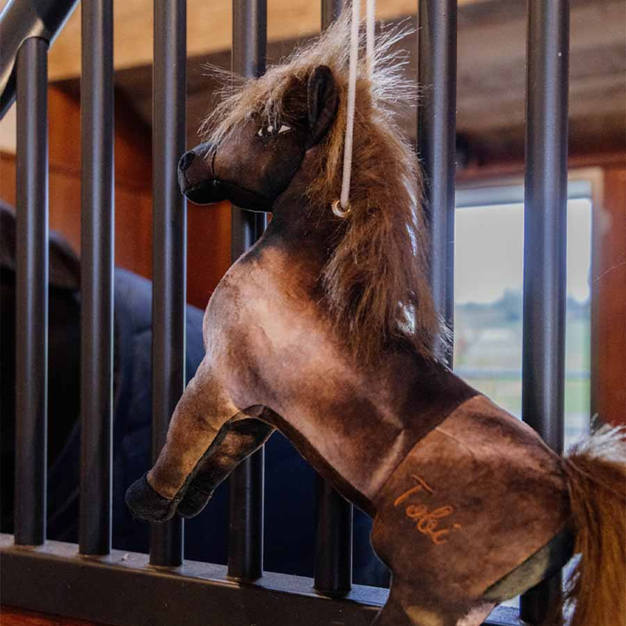 Paarden Speelgoed Relax Tableux