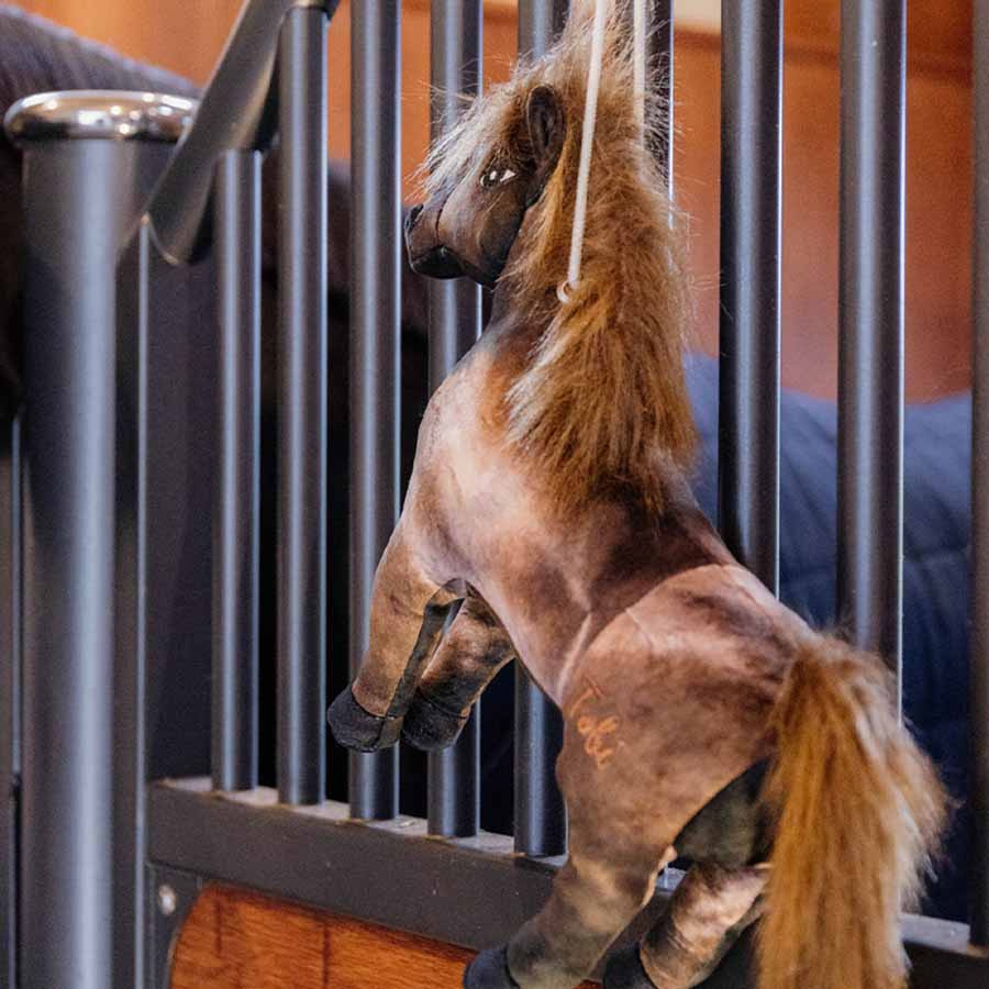 Paarden Speelgoed Relax Tableux