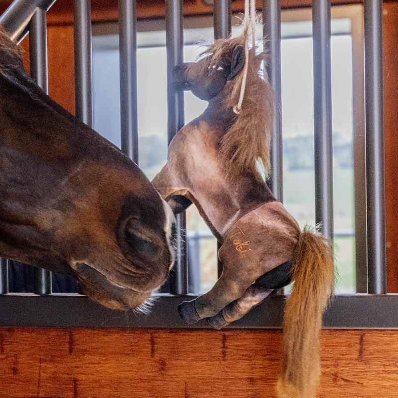 Paarden Speelgoed Relax Tableux