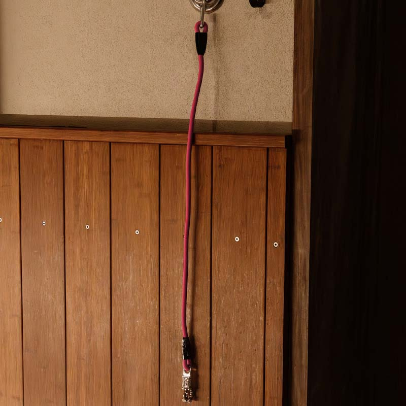 Aanbindtouw Box Lead & Cross Silicone Roze