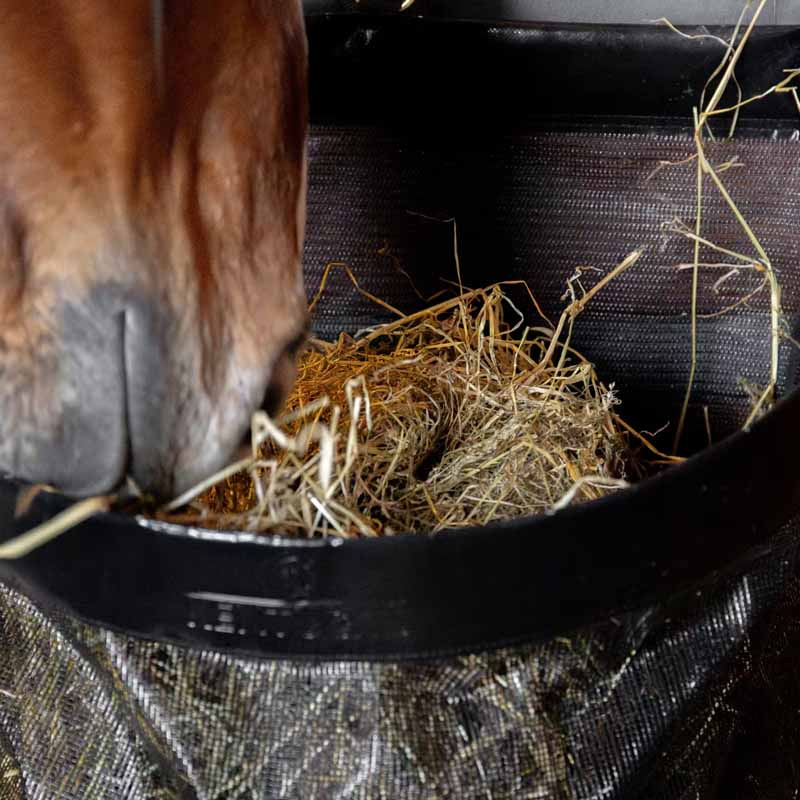 Hooinet Straight Zwart