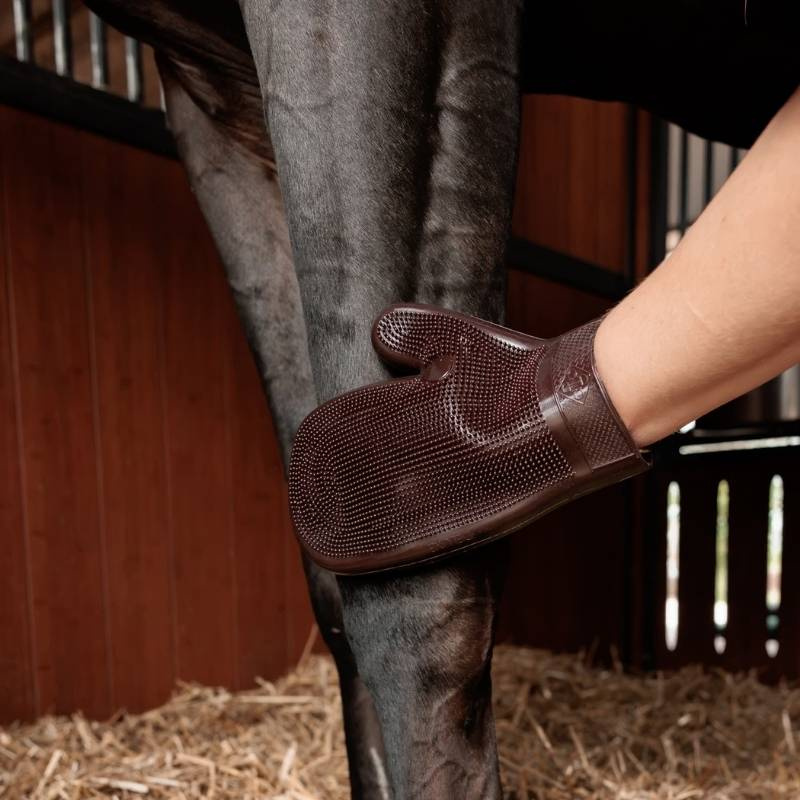 Poetshandschoen Rubber Bruin