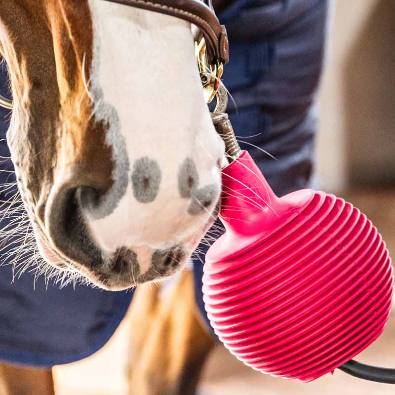 Beschermbal Lead & Wall Protection Rubber Pro Roze