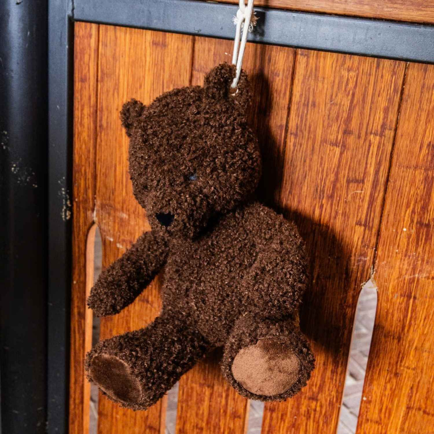 Paardenspeelgoed Relax Bear Bruin
