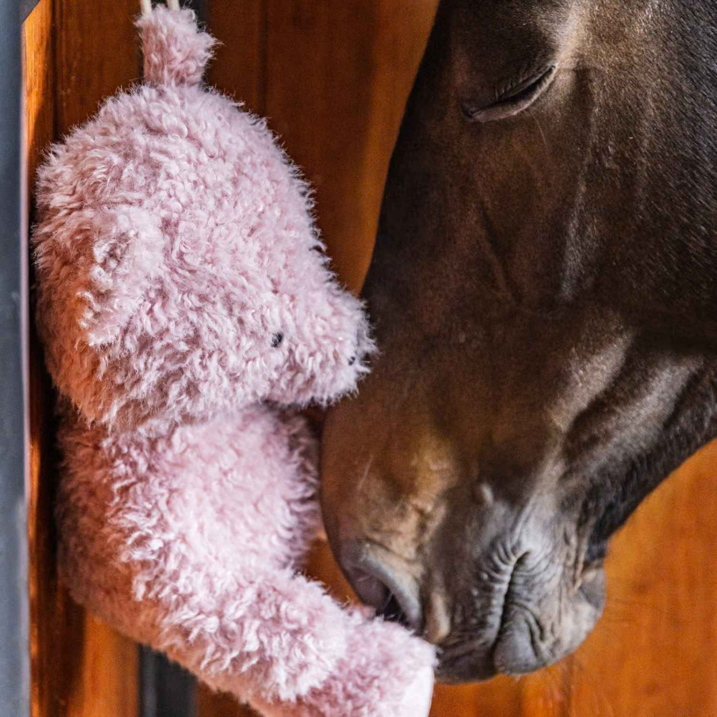 Paardenspeelgoed Relax Bear Roze