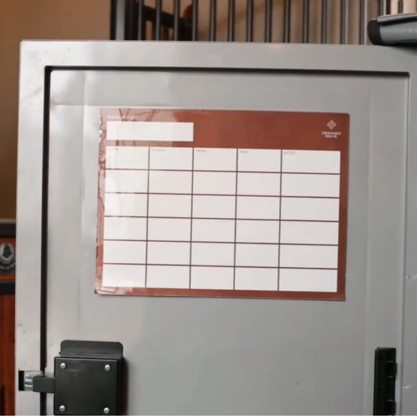 Show Board Magnetic Bruin