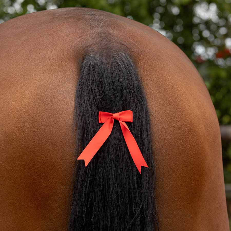Staartstrik Rood