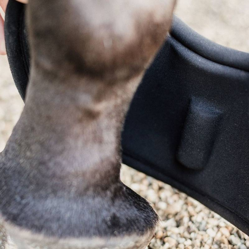 Springschoenen Heel Protection Zwart