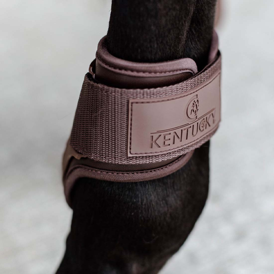 Kogelbeschermers Young Horse Shield Bruin