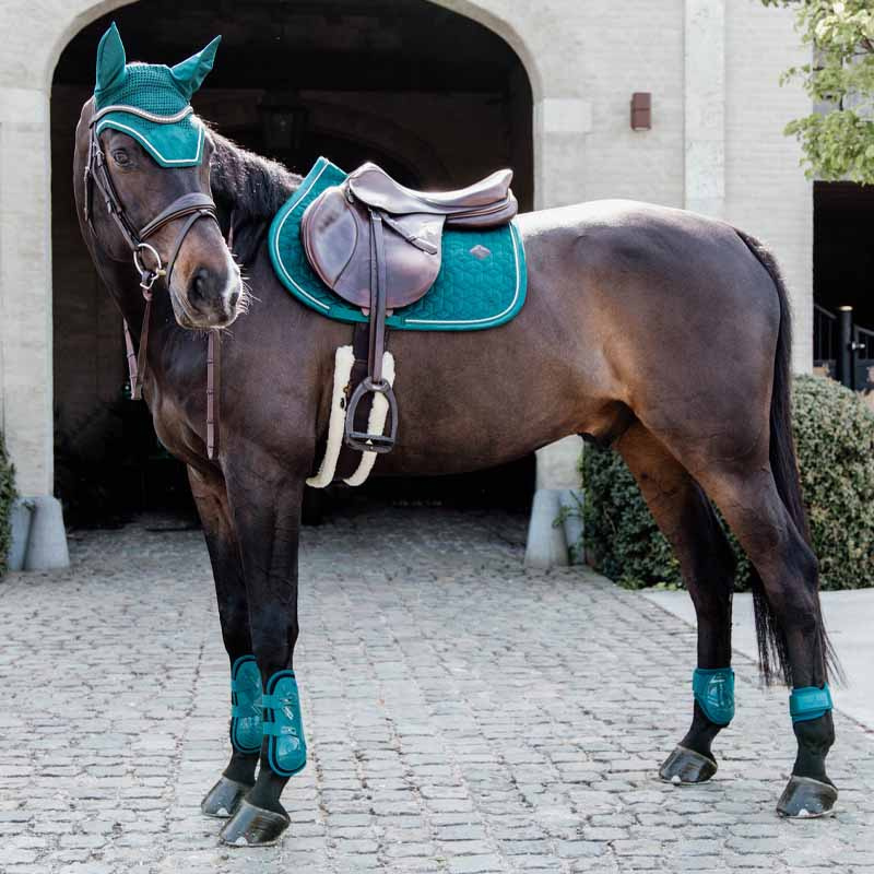 Kogelbeschermers Young Horse Shield Smaragdgroen
