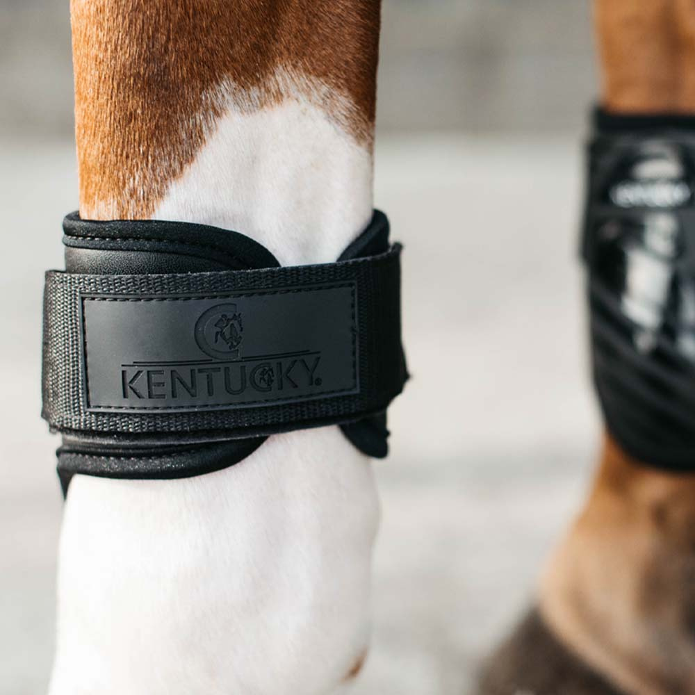 Kogelbeschermers Young Horse Shield Zwart