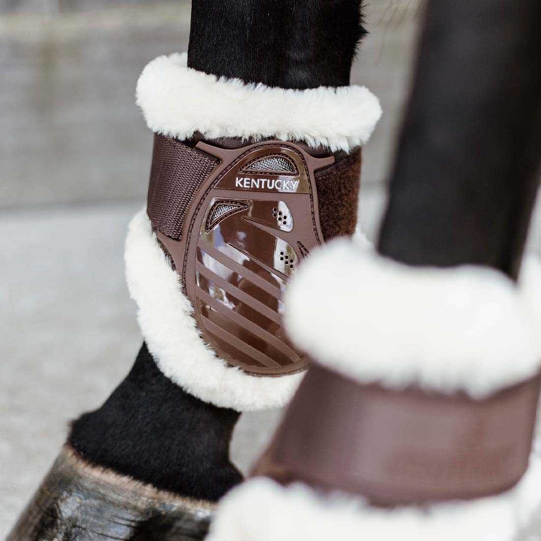 Kogelbeschermers Young Horse Sheepskin Shield Bruin