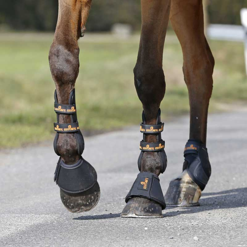 Springschoenen Kunstleer Zwart