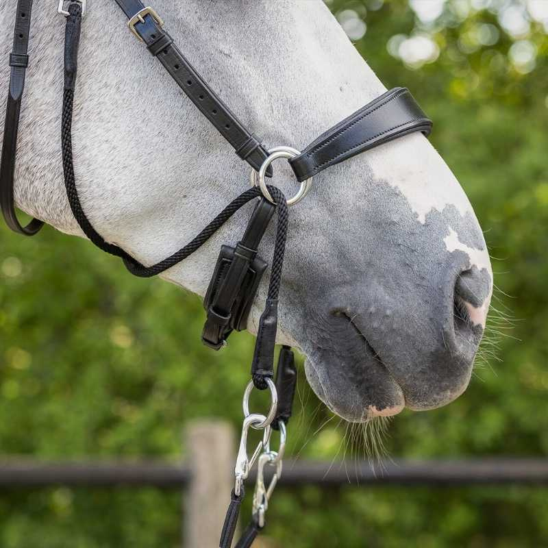 Bitloos hoofdstel Sunna Zwart
