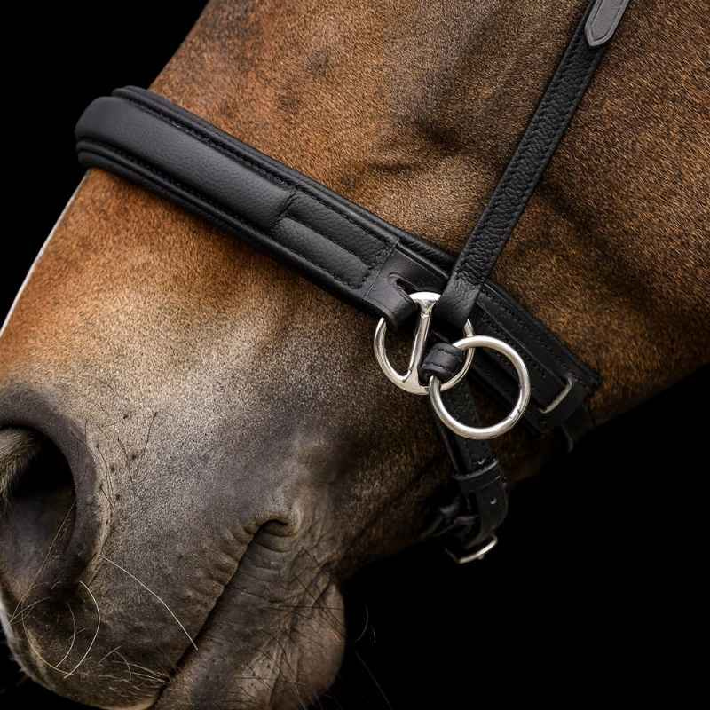 Bitloos hoofdstel Supersoft X-Line Zwart