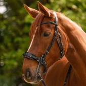 Hackamore hoofdstel X-Line Zwart Hackamore hoofdstel X-Line Zwart