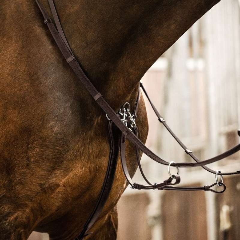 Martingaal Professional X-Line Bruin