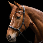 Bitloos hoofdstel Sensation X-Line Zwart Bitloos hoofdstel Sensation X-Line Zwart