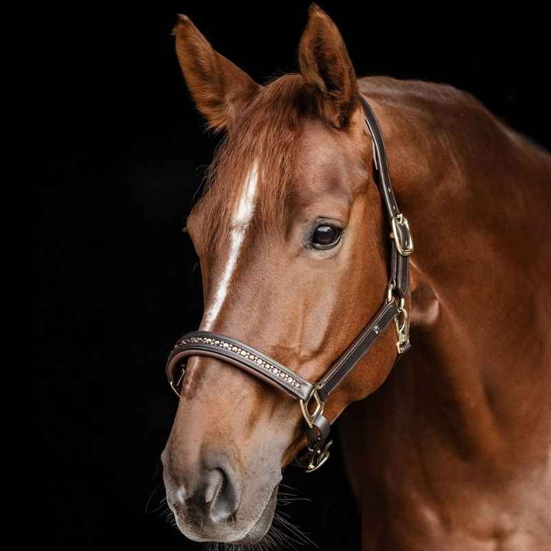 Leren halster Crystal X-Line Bruin
