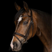 Hoofdstel Charmbit X-Line Bruin Hoofdstel Charmbit X-Line Bruin