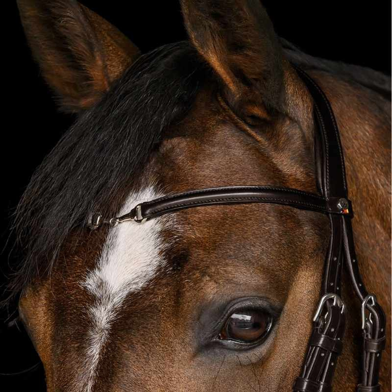 Hoofdstel Charmbit X-Line Bruin