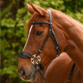 Hackamore hoofdstel Sensitive X-Line Zwart Hackamore hoofdstel Sensitive X-Line Zwart