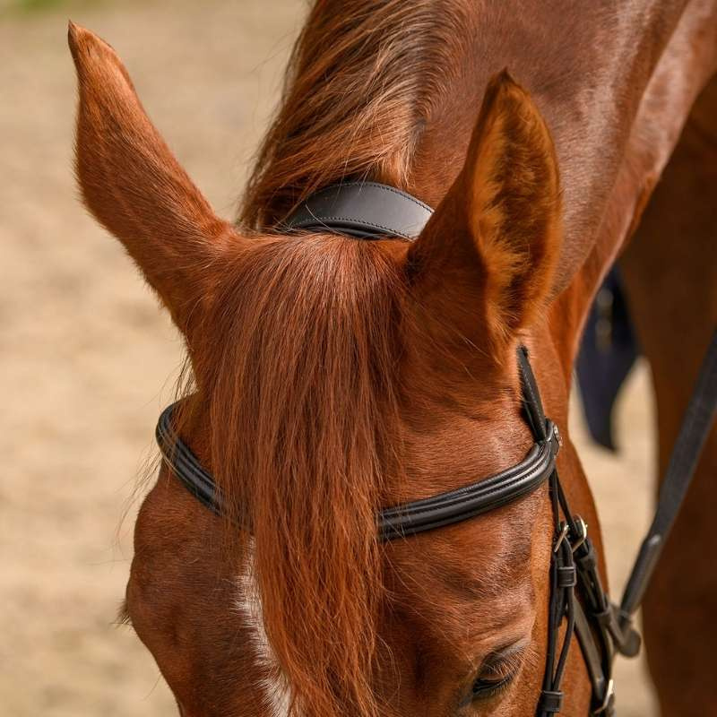 Hackamore hoofdstel Sensitive X-Line Zwart