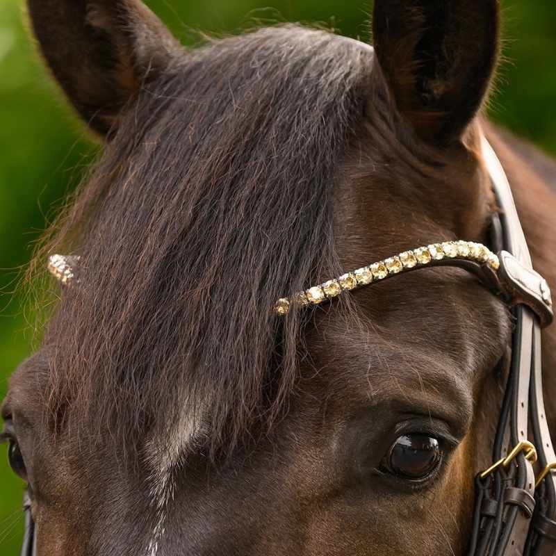 Frontriem Shine X-Line Bruin/Toffee