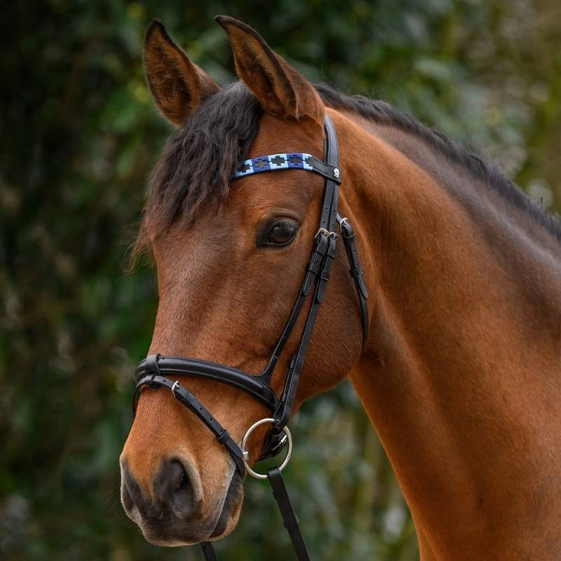Frontriem Polo X-Line Zwart/Blauw