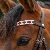 Frontriem Polo X-Line Bruin/Roze Frontriem Polo X-Line Bruin/Roze