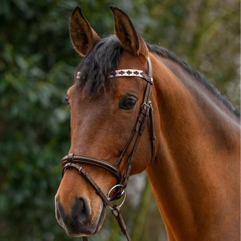 Frontriem Polo X-Line Bruin/Roze