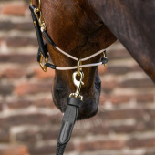 Leren halster Rope Royal S-Line Zwart Leren halster Rope Royal S-Line Zwart