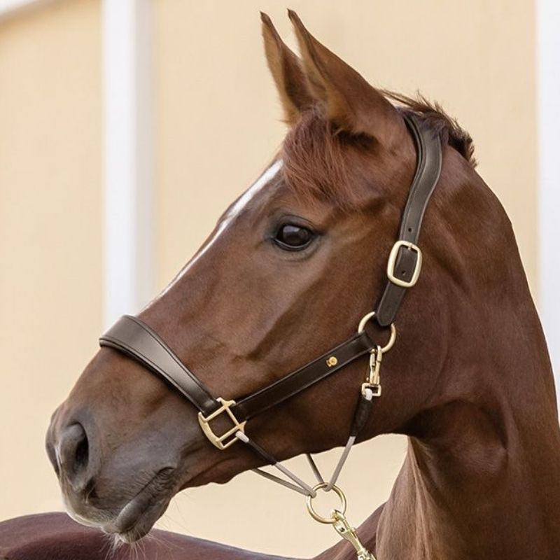 Leren halster Rope Royal S-Line Bruin