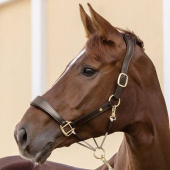 Leren halster Rope Royal S-Line Bruin Leren halster Rope Royal S-Line Bruin