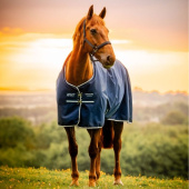 Outdoordeken Amigo Ripstop 900D 100g Witney Navy Outdoordeken Amigo Ripstop 900D 100g Witney Navy